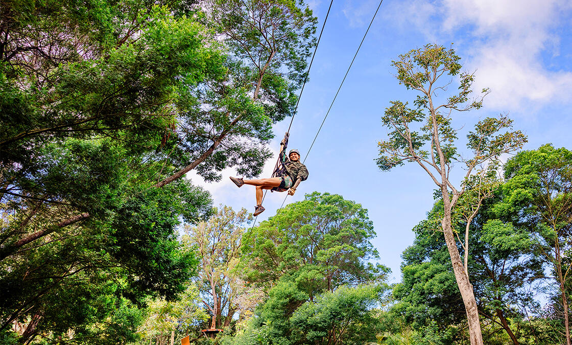 NorthShore 7-Line Zipline 5