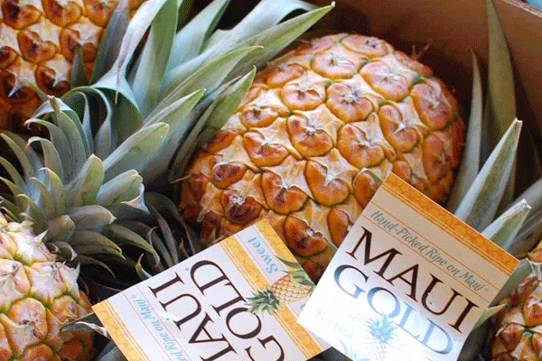 Maui Pineapple Farm Tour 3