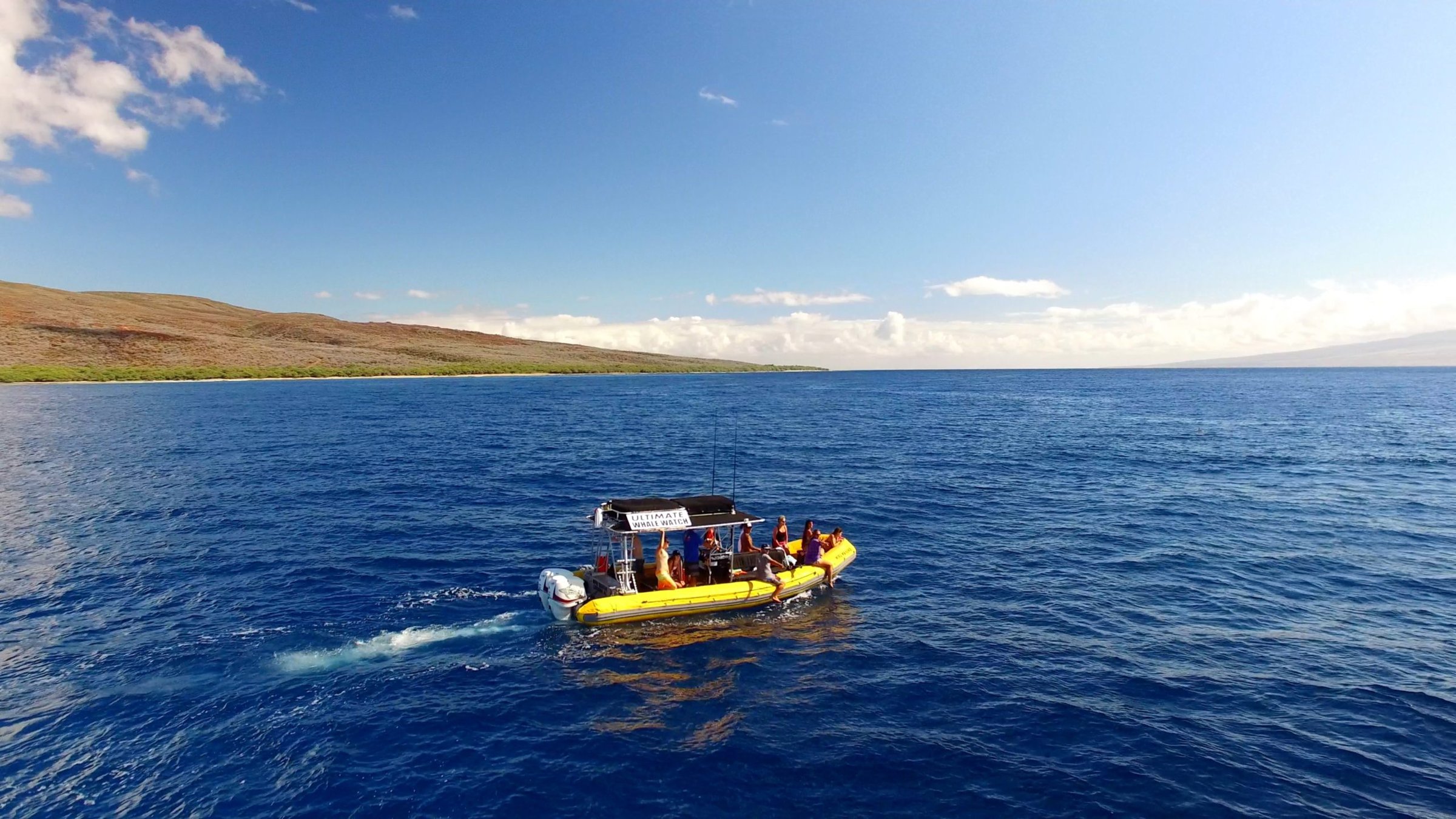 Ultimate Whale Watch Lahaina (2 hours) Maximum 28 Pax 3