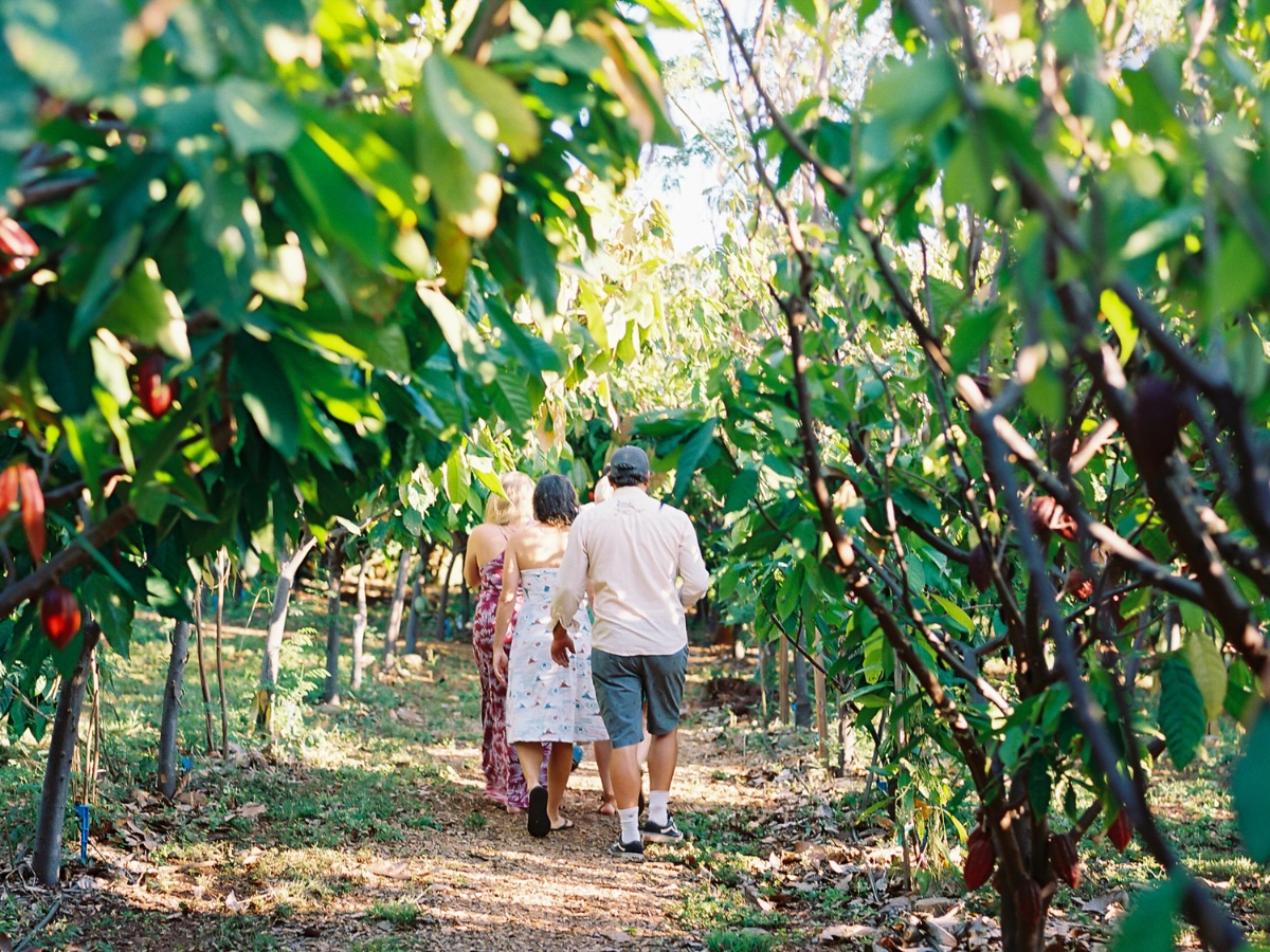 Chocolate Tasting & Maui Cacao Farm Tour 2