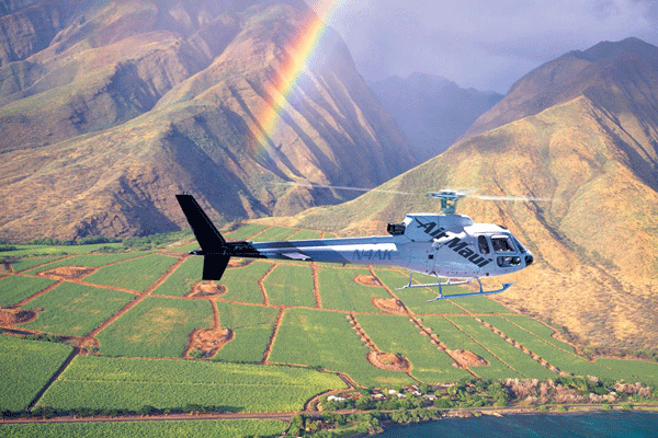 Air Maui West Maui & Molokai with Ocean Front Landing (75 Min) 5