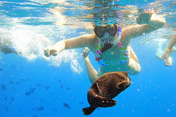 Quicksilver Coral Gardens Morning Snorkeling Adventure