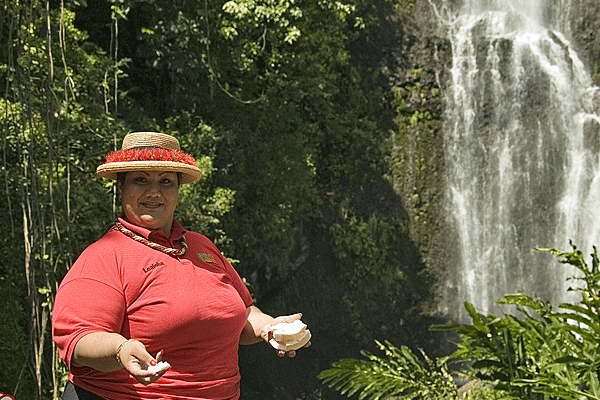 Aloha Sunshine Maui Hana Adventure 4