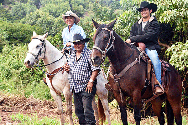 Maui Mountain Activities Morning Horseback Ride 4