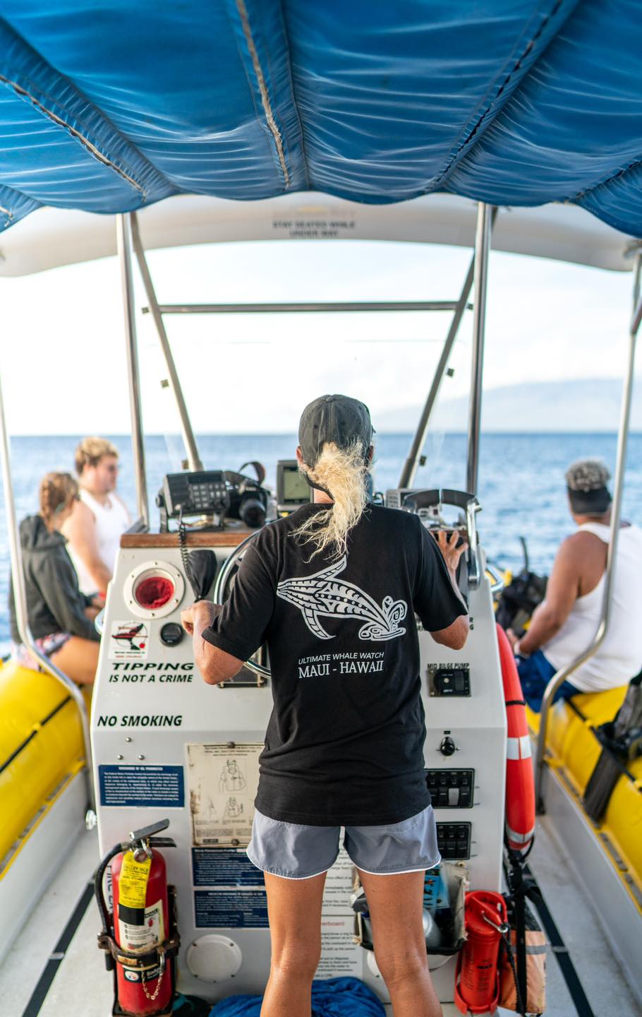 Discounted Ultimate Whale Watch (1.5 hours) 4