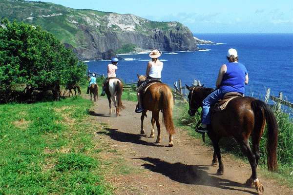 Maui Trail Horseback Rides 1