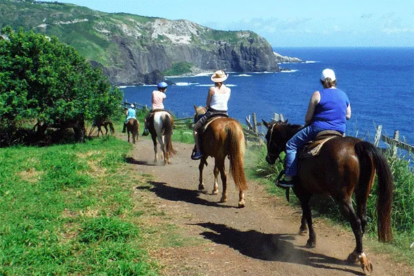 Maui Trail Horseback Rides