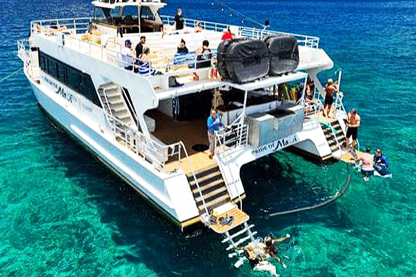 Pride of Maui Molokini and Turtle Snorkel Cruise 2