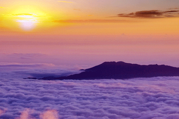 Skyline Classic Haleakala Sunrise Experience 1