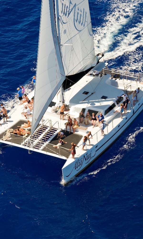 Ali’i Kai Deluxe Whale Watching Sailing 2