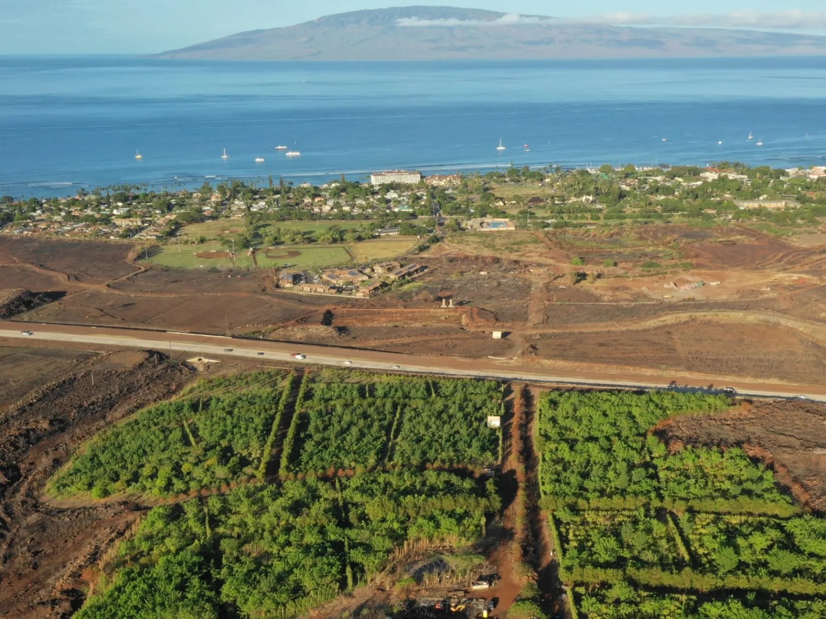 Chocolate Tasting & Maui Cacao Farm Tour 5