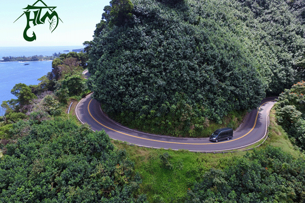 Hana Tours of Maui – Deluxe Road to Hana Tour 1
