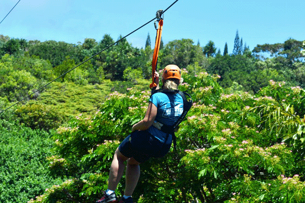 Jungle Zipline (8-lines) Jungle fun for Everyone! 5