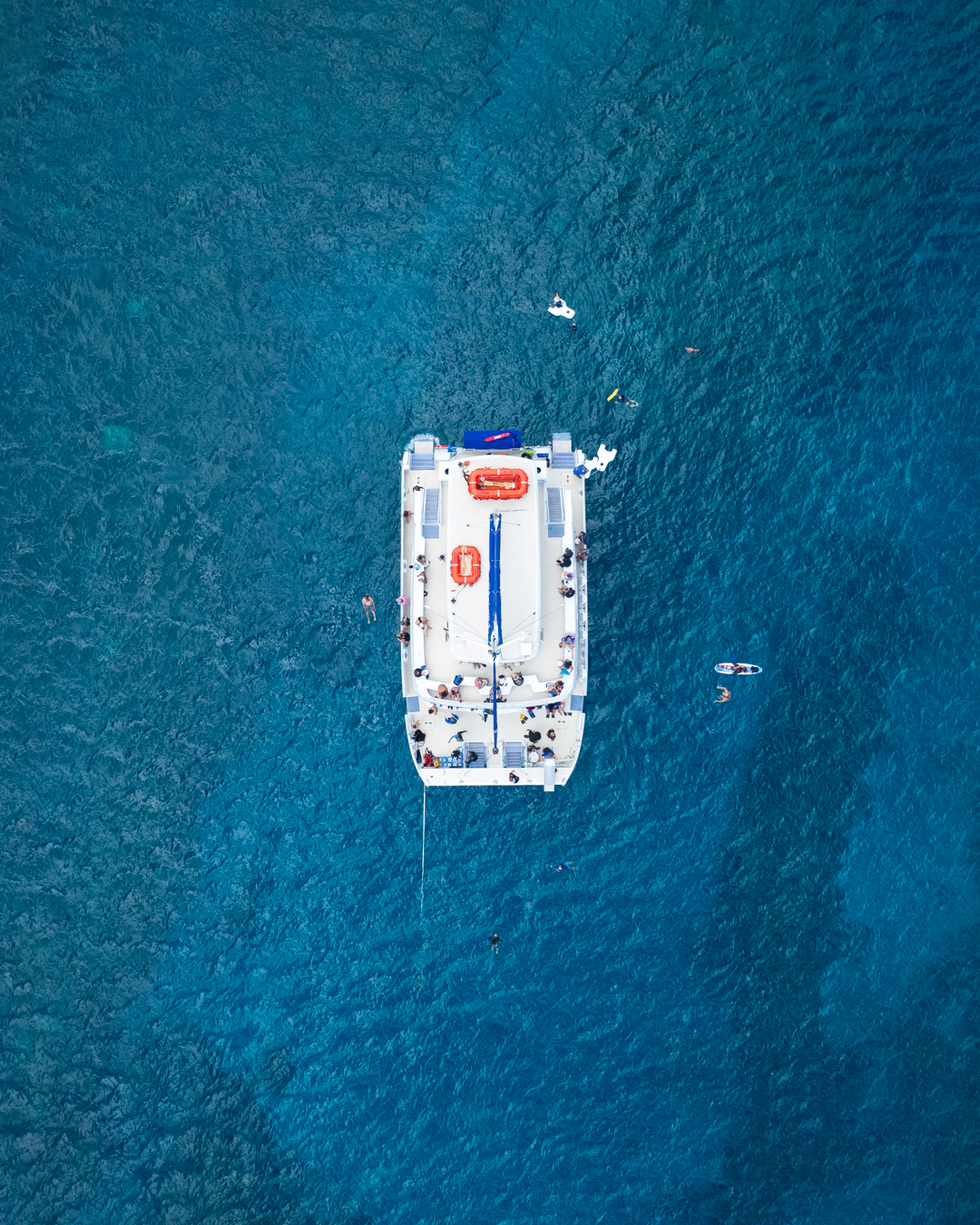Whale Watching & Snorkel Tour with Four Winds III 2