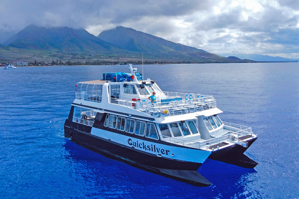 Quicksilver Whale Watch Maalaea Specials 1