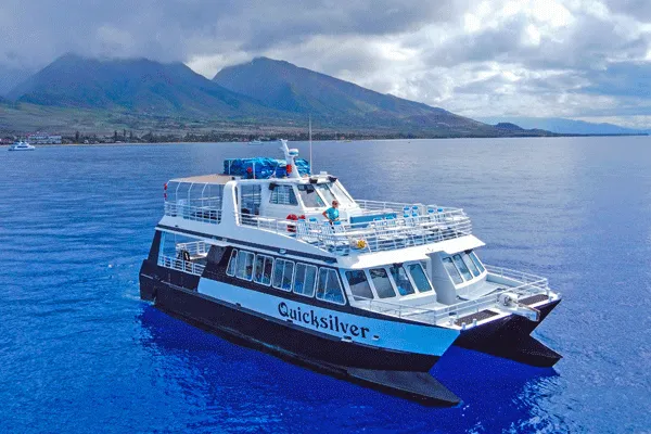 Quicksilver Whale Watch Maalaea Specials