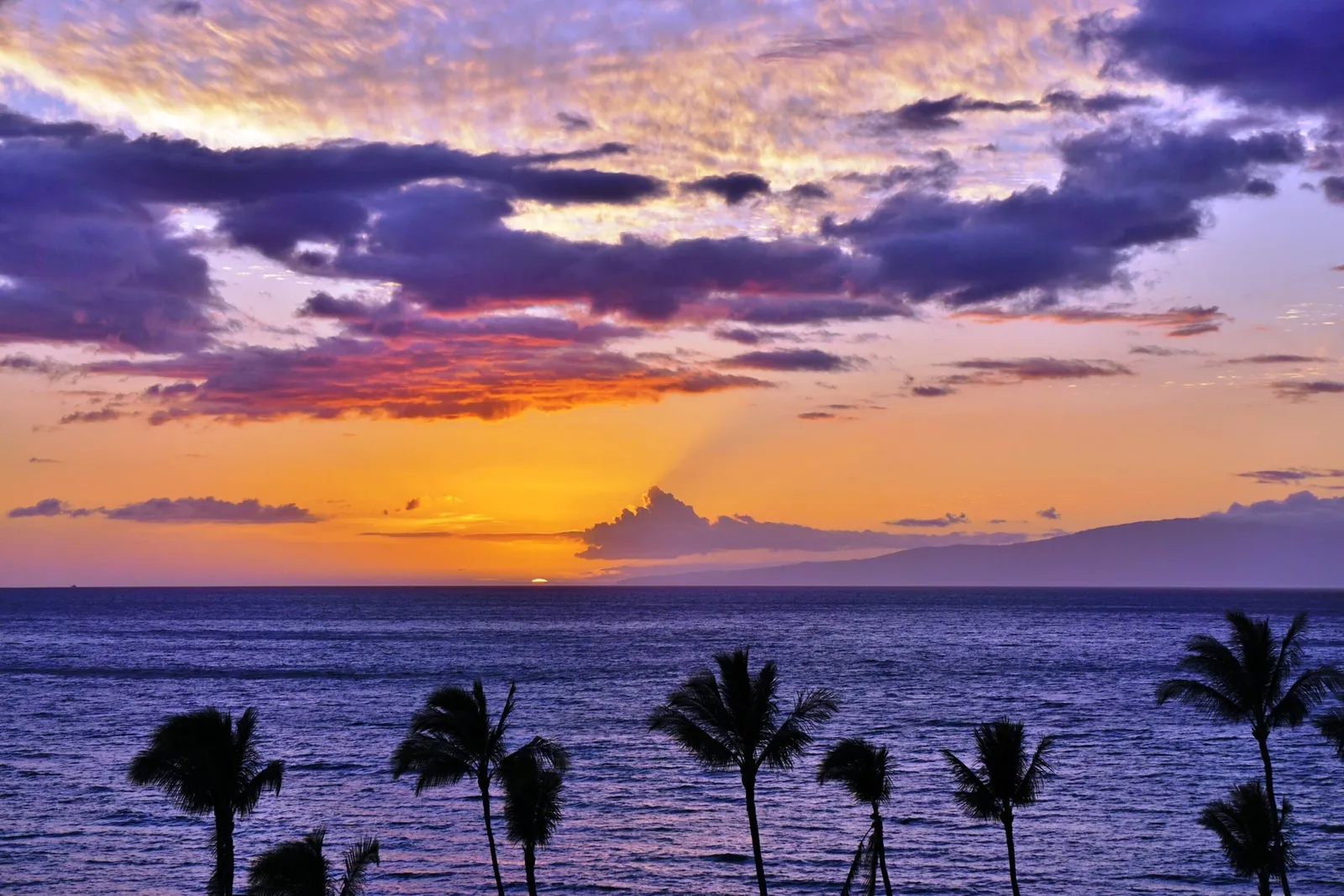 And … Relax: The 4 Best Maui Experiences to Help You Unwind