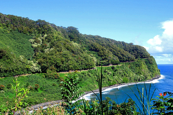Polynesian Adventure Road to Hana Tour 5