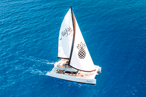 Ali’i Kai Deluxe Whale Watching Sailing 3