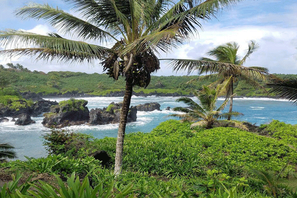 Aloha Eco Adventures Road to Hana 4
