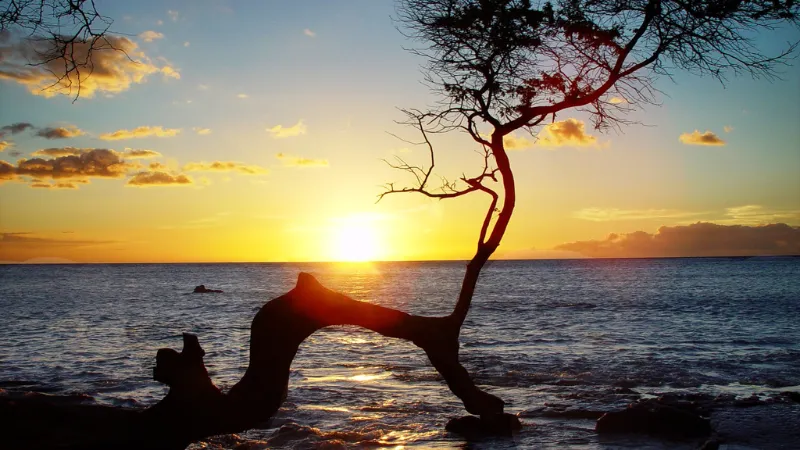 Top 10 Tips for Maui Travel – Enjoy Your Best Hawaii Vacation Ever