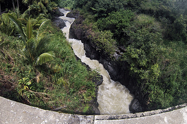 Hana Tours of Maui – Deluxe Road to Hana Tour 5