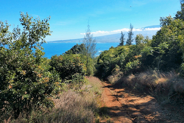 Maui Mountain Activities ATV & UTV Adventure 4