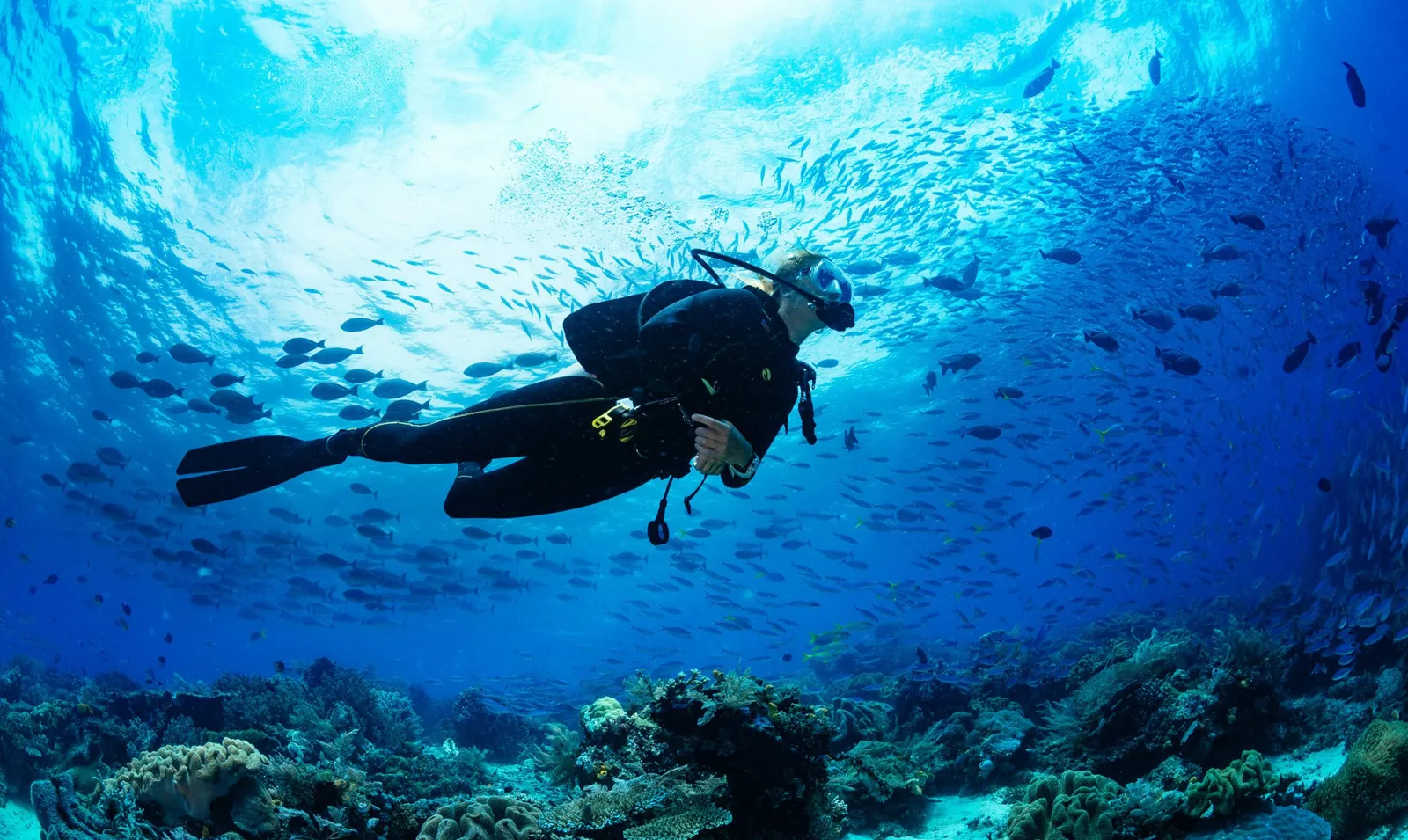 Discover Scuba Diving – Shore Dive by Dive Maui