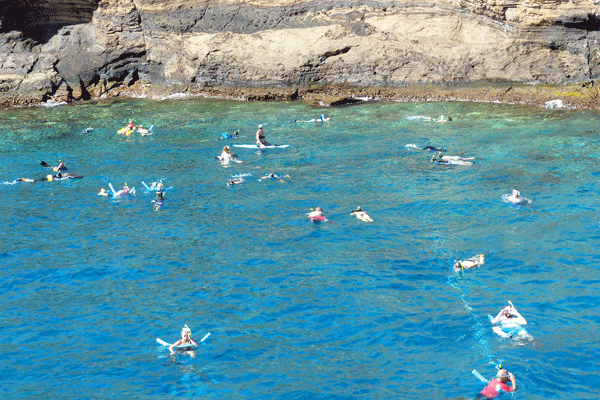 Calypso Deluxe Molokini & Turtle Snorkel 3