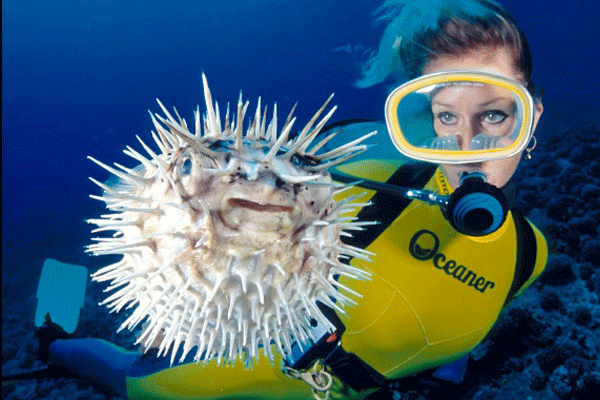 Discover Scuba Diving – Shore Dive by Dive Maui 5