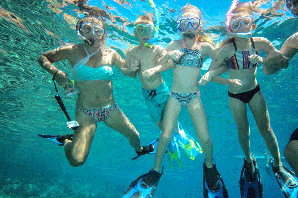 Quicksilver Coral Gardens Morning Snorkeling Adventure 4