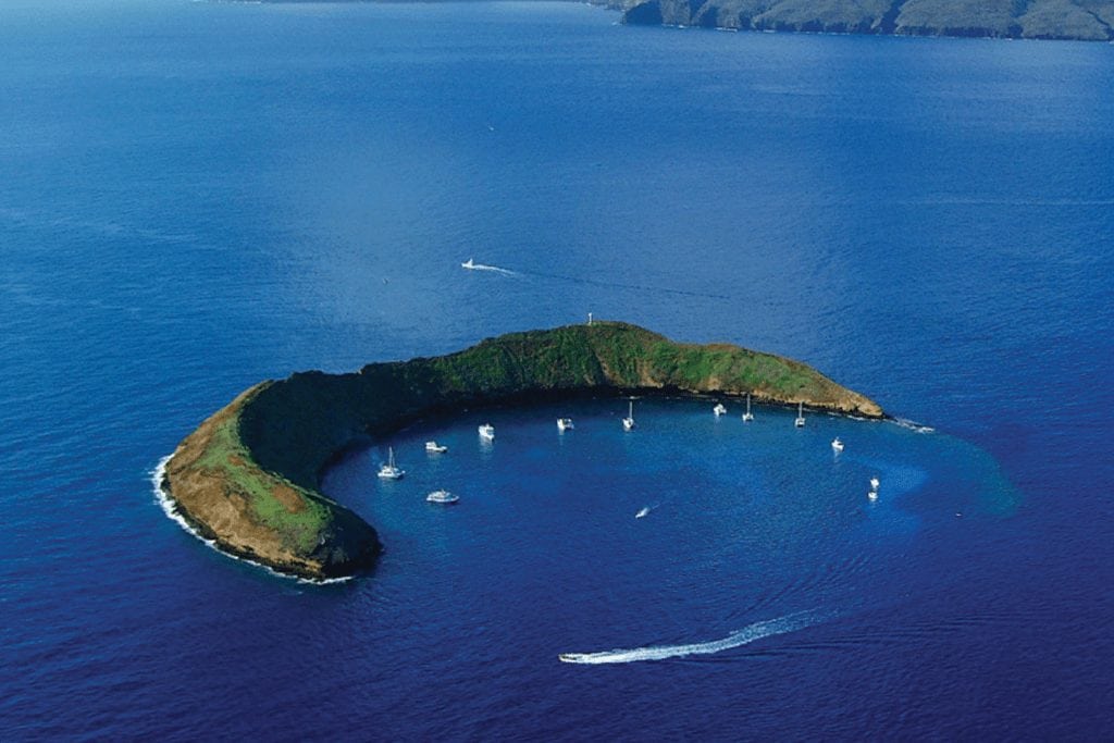 Molokini Snorkel Tour: Snorkelling with Seafire Charters: Top Maui Activity 2