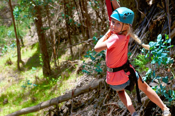 Skyline Haleakala 6-Line Zipline Adventure 2