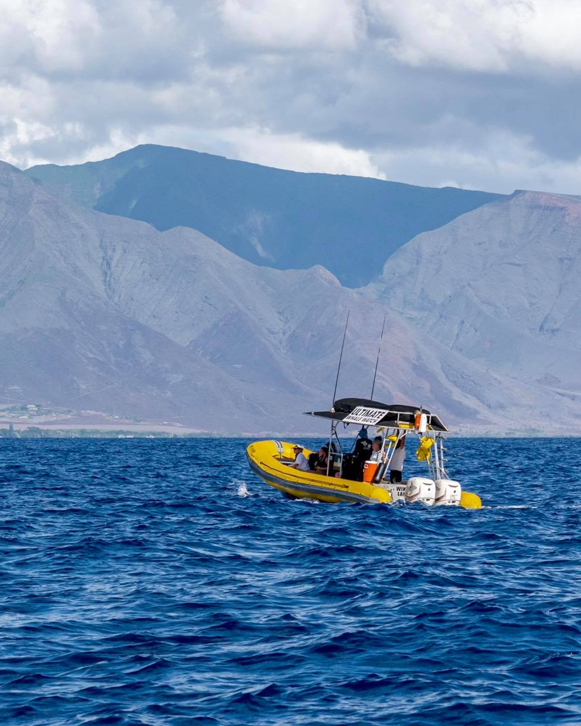Ultimate Whale Watch Lahaina (2 hours) Maximum 28 Pax 5