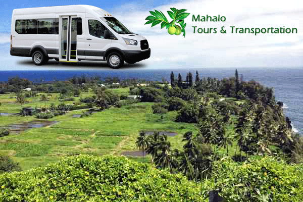 Mahalo Tours Hana Local Style – (8 Pax) 1