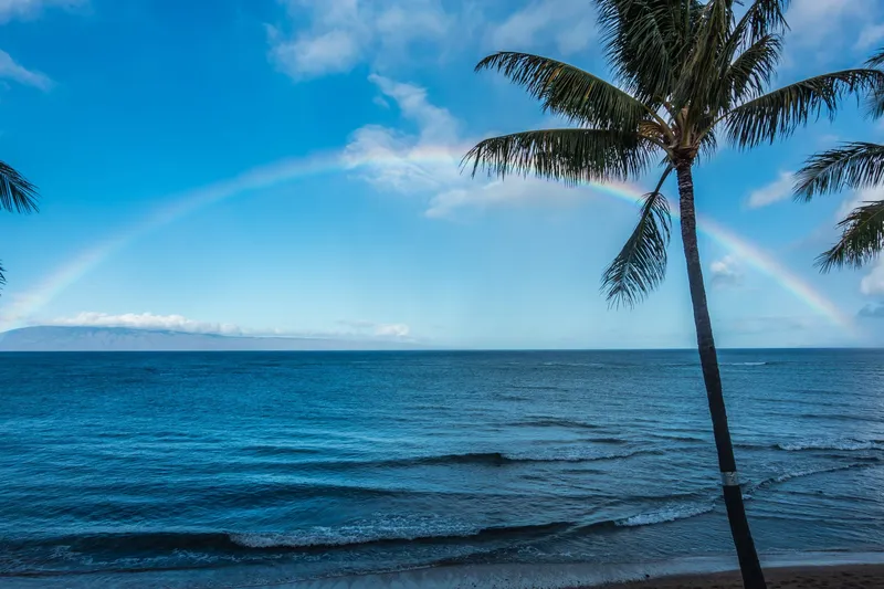 Lahaina Fires: A heartfelt update about our Island Home of Maui