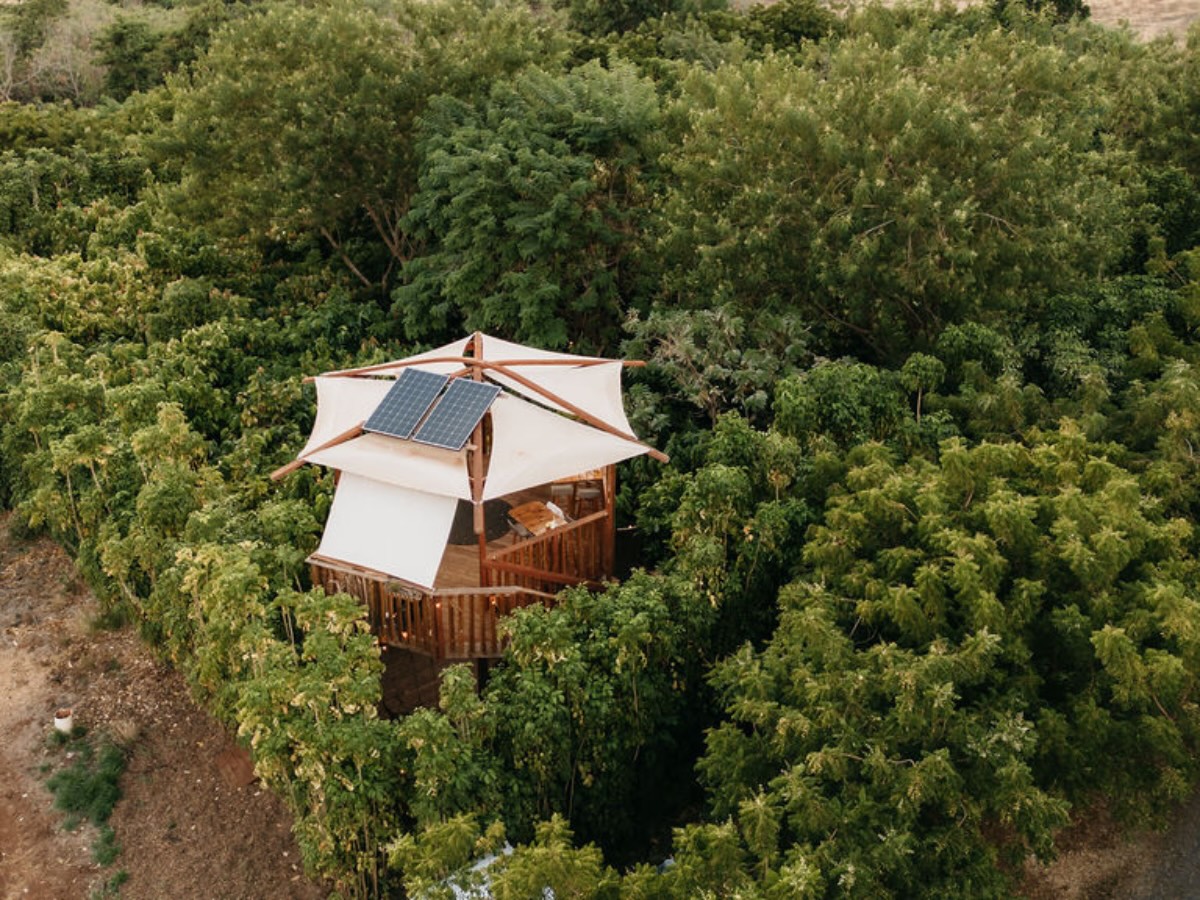 Chocolate Tasting & Maui Cacao Farm Tour 4