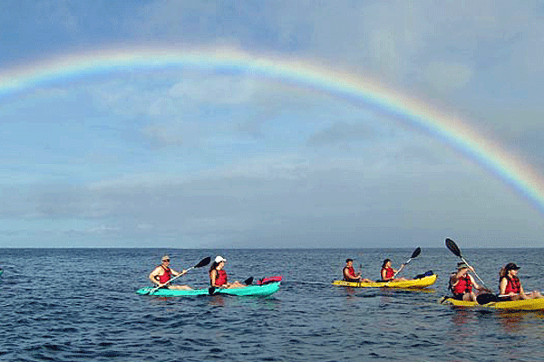 Kelii’s Kayaking & Snorkeling West Maui Adventure (2.5 Hours) 2
