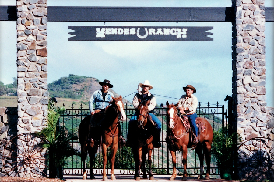 Maui Trail Horseback Rides 3