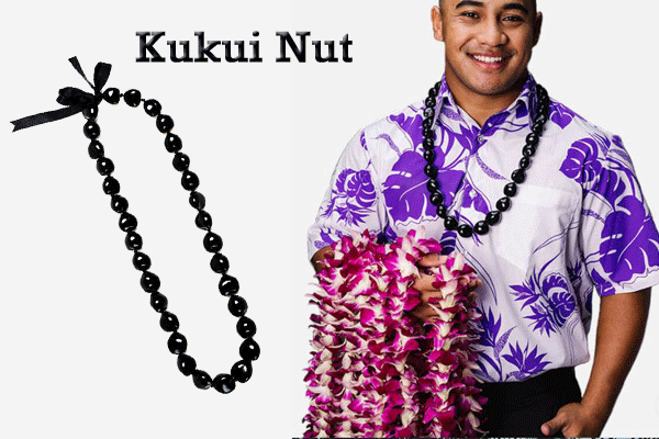 Airport Fresh Lei Greeting 3