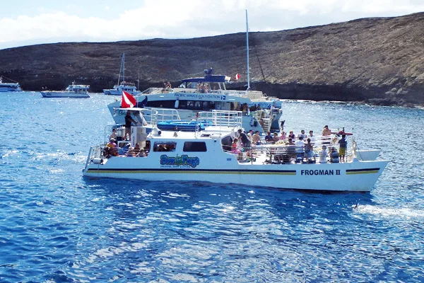 Malolo Molokini & Turtle Town Snorkeling
