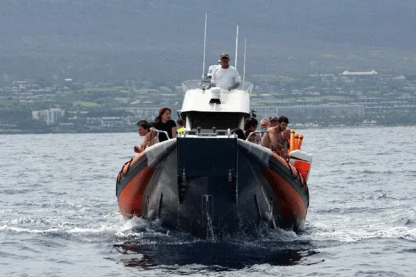 Molokini Snorkel Tour: Snorkelling with Seafire Charters: Top Maui Activity