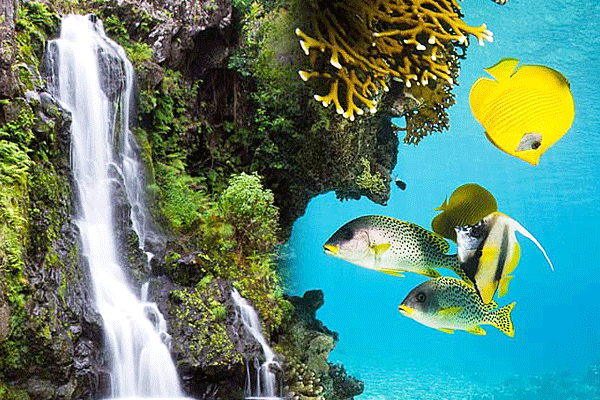 Hiking, Kayaking & Snorkeling Full Day Adventure 1
