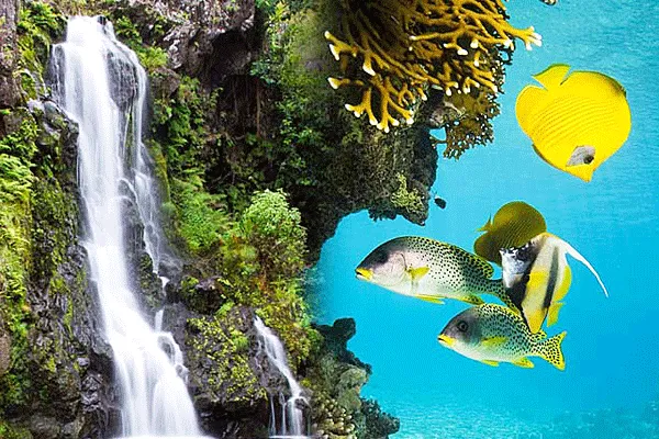 Hiking, Kayaking & Snorkeling Full Day Adventure