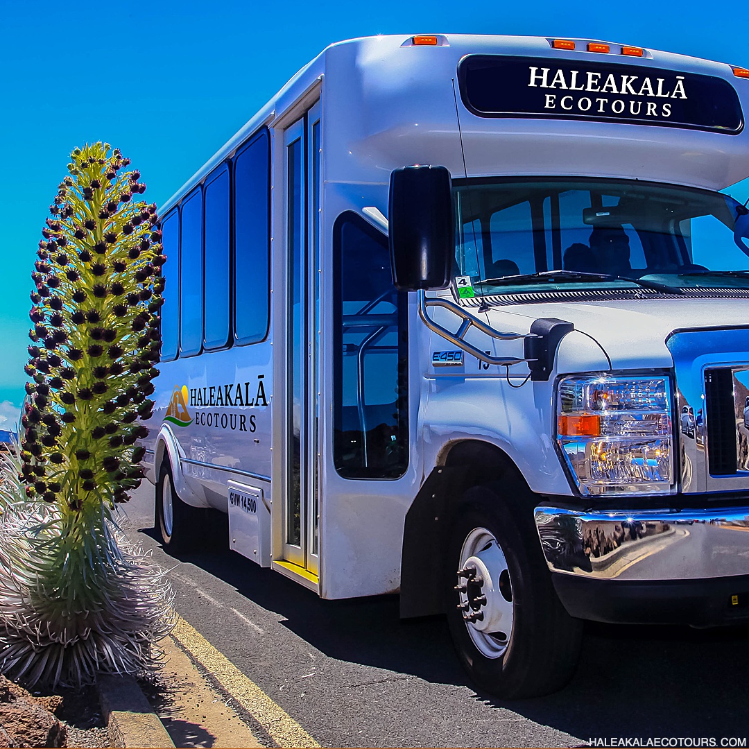 Classic Haleakala Sunrise, or Day Adventure by Haleakala Eco Tours 5