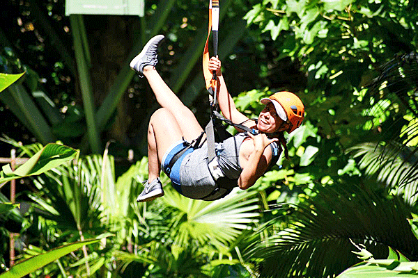 Jungle Zipline (8-lines) Jungle fun for Everyone! 2