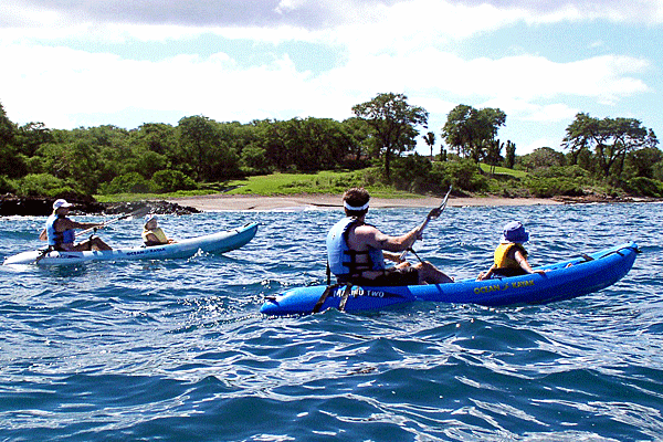 Kelii’s Kayaking & Snorkeling Makena Turtle Adventure (2.5 Hours) 4