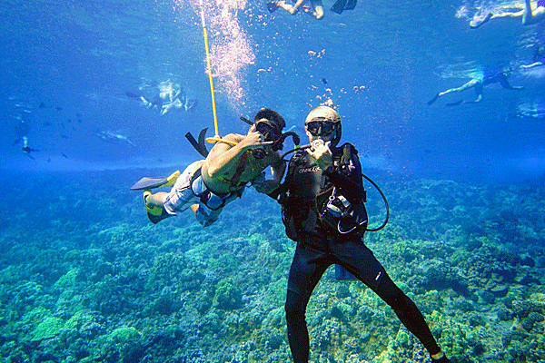 Aqua Adventures Molokini Snorkel & Snuba Adventure 4