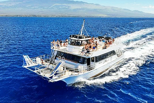 Pride of Maui Molokini and Turtle Snorkel Cruise 4