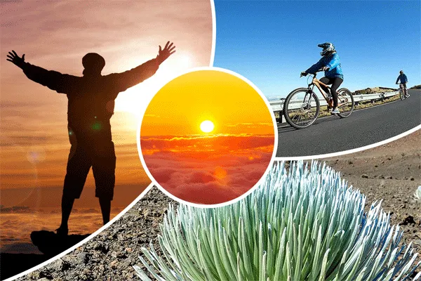 Bike Maui Sunrise or Day Haleakala Summit Self-guided Bike Adventure